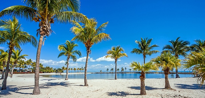 Aerial view of a lesser-known beach in Tampa Bay, Florida