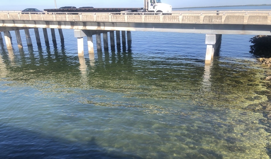 A view of people biking on the longest over-water fill of the Courtney Campbell Causeway Trail