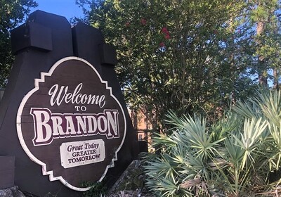 Homes For Sale in Brandon FL