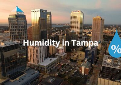 Humidity In Tampa