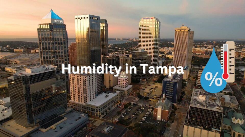 Humidity In Tampa