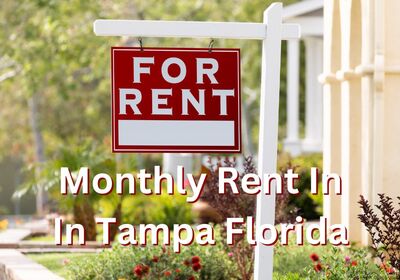 What Is The Median Monthly Rent In Tampa