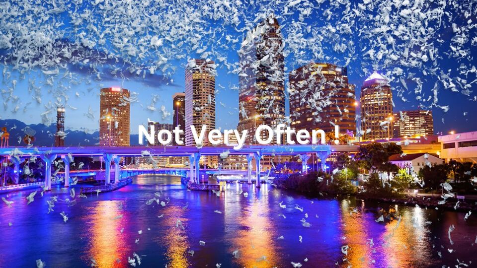 Does Snow Fall In Tampa FL