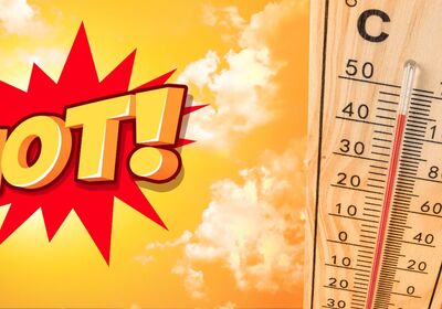 What Is The Hottest Month In Tampa FL