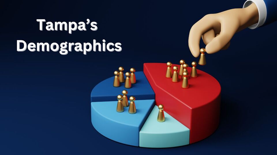 Tampa Demographics