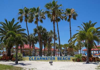 Why Is Clearwater Beach Water Brown