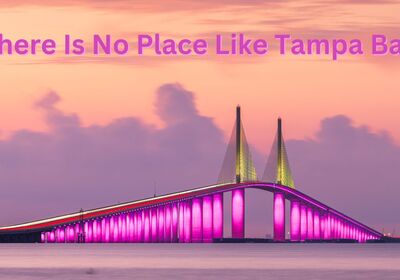 Condos For Sale in Tampa Bay