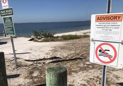 Is It Safe To Swim At Ben T Davis Beach