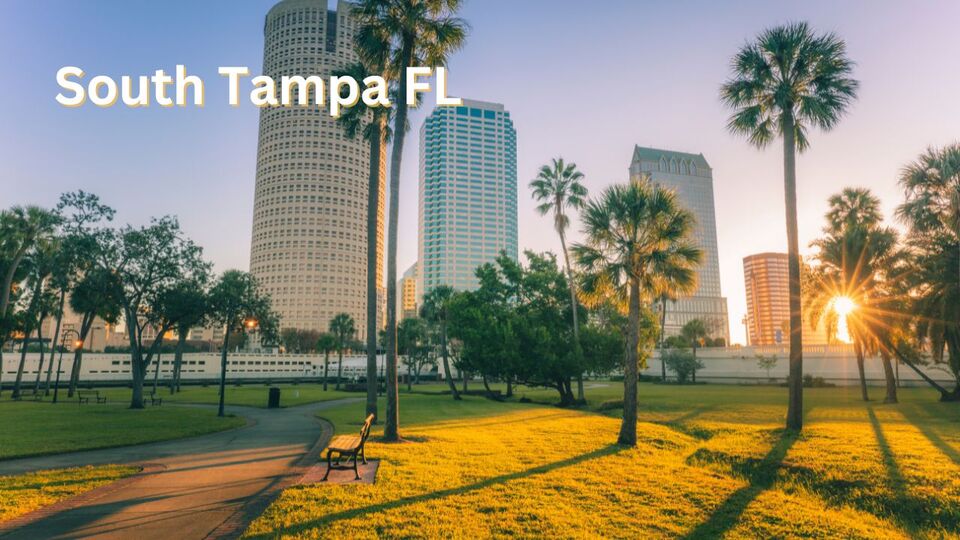 So Many Reasons To Choose South Tampa